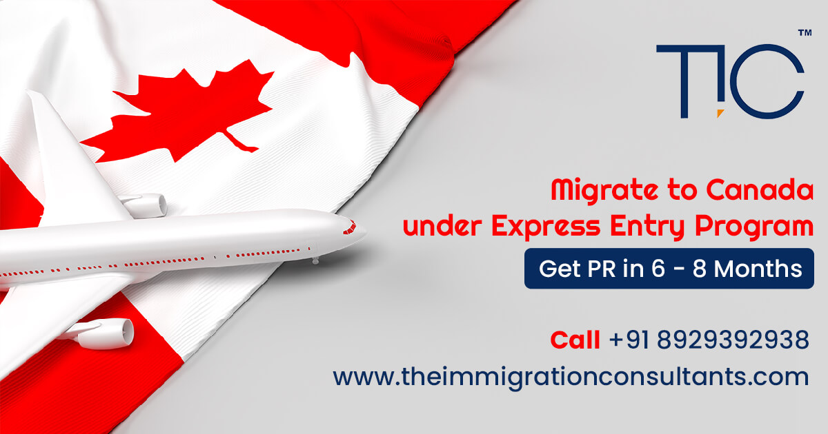 The Immigration Consultants – Canada Immigration Consultants Mumbai